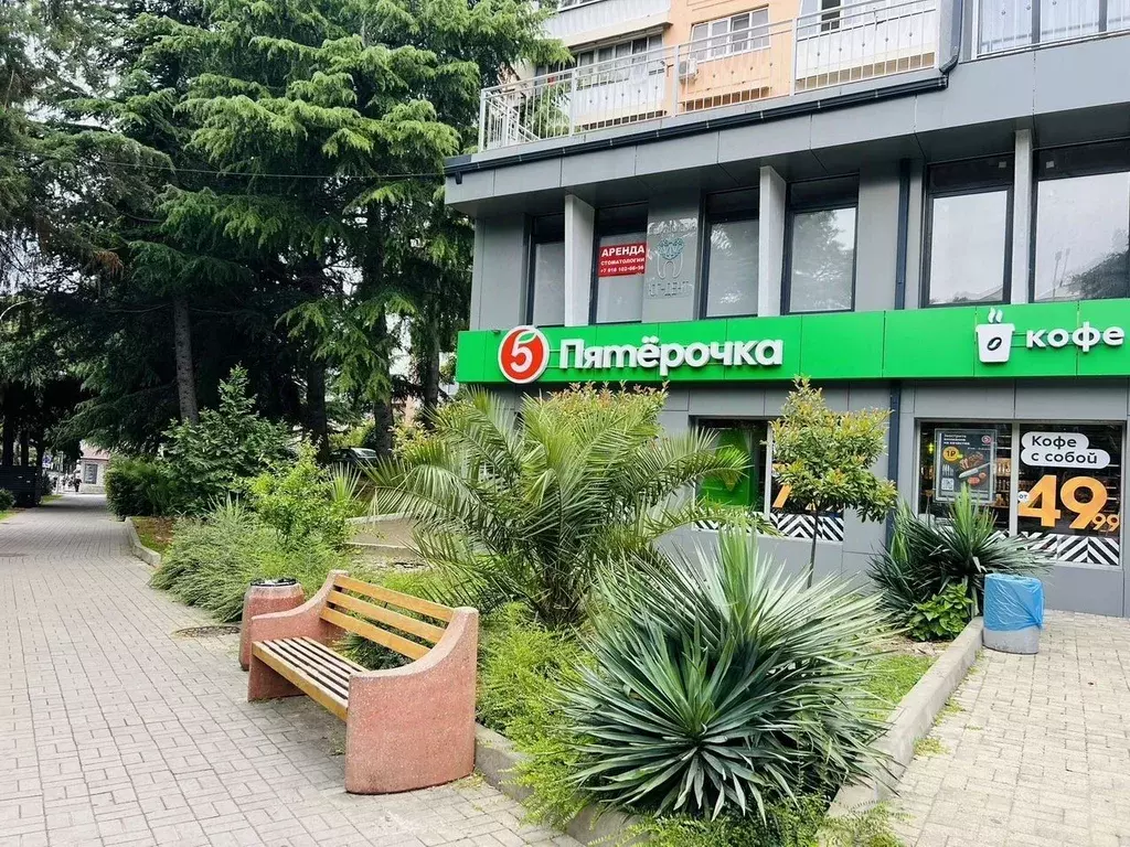 Помещение свободного назначения в Краснодарский край, Сочи Лазаревское ... - Фото 2