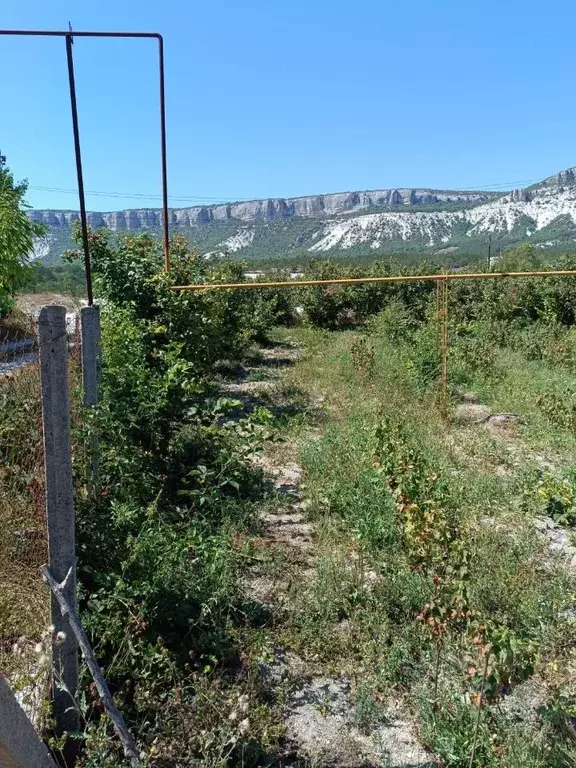 Участок в Крым, Бахчисарайский район, Куйбышево пгт ул. Лесная (6.0 ... - Фото 1