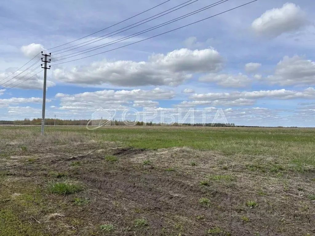 Участок в Тюменская область, Тюменский район, д. Большие Акияры  (8.0 ... - Фото 2