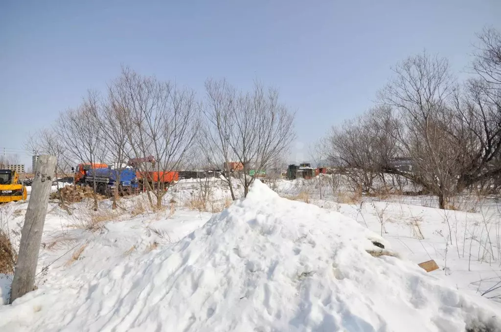 Участок в Сахалинская область, Анивский городской округ, с. ... - Фото 1