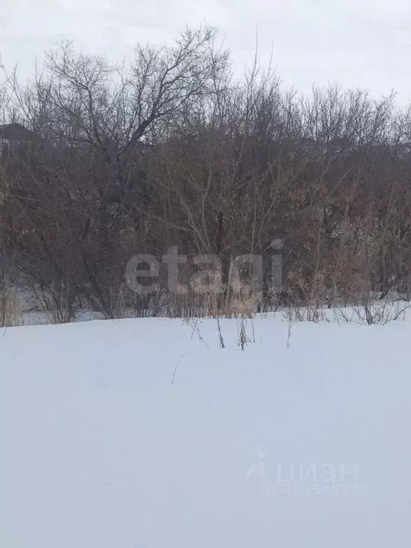 Участок в Алтайский край, Белокуриха ул. Грибная (9.15 сот.) - Фото 1