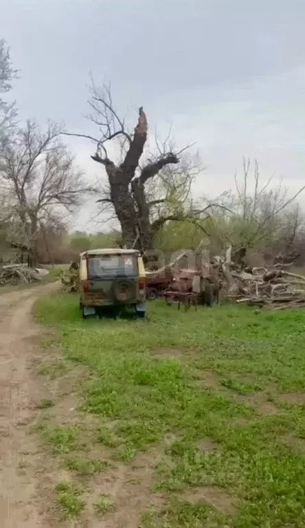 Участок в Астраханская область, Харабалинский район, с. Селитренное  ... - Фото 1