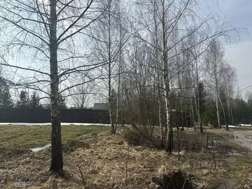 Участок в Московская область, Рузский муниципальный округ, д. Старая ... - Фото 1