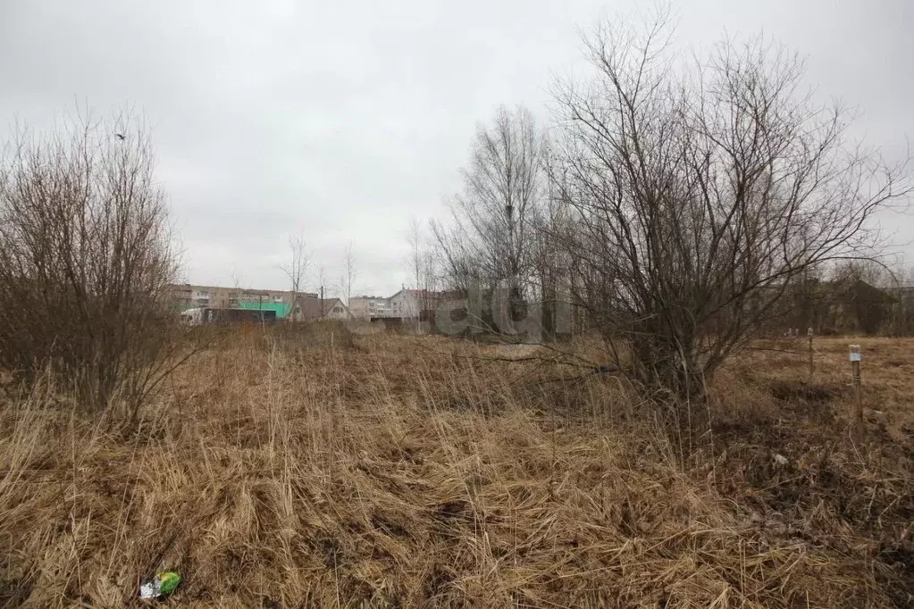 Участок в Вологодская область, Шексна рп ул. Западная (10.0 сот.) - Фото 1