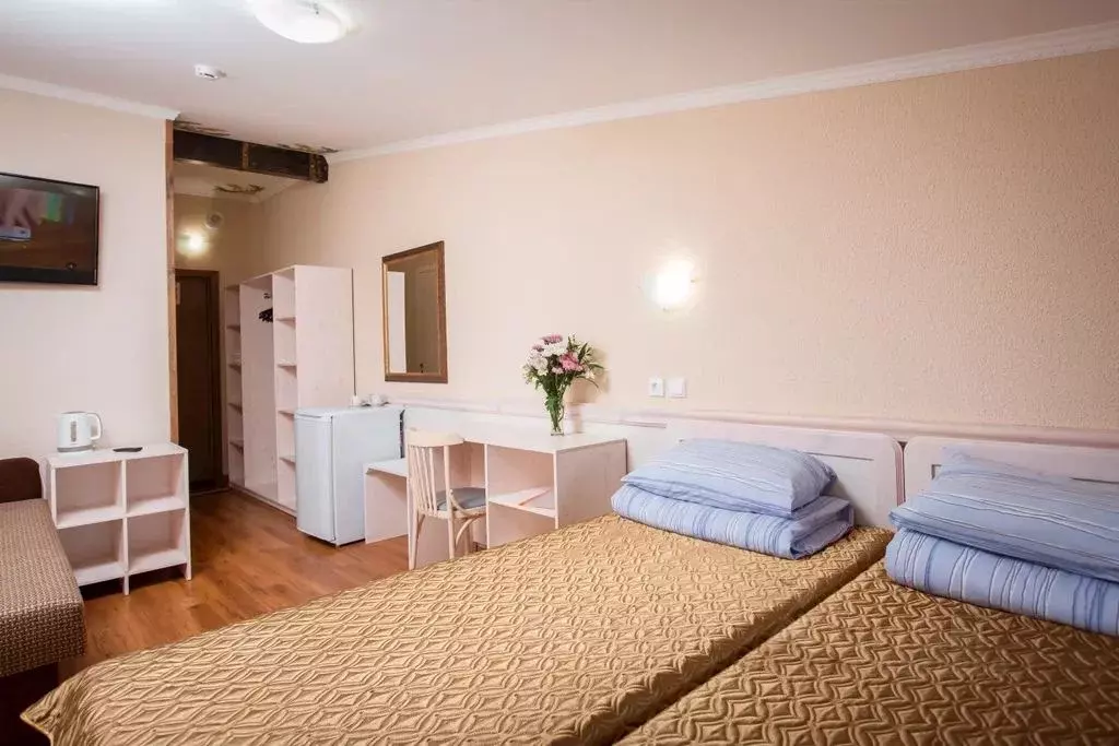 Комната Санкт-Петербург просп. Римского-Корсакова, 45 - Фото 2