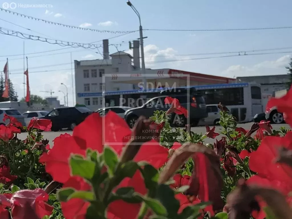 Помещение свободного назначения (2857 м) - Фото 1