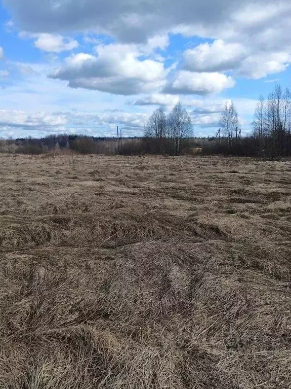 Участок в Ленинградская область, Лужский район, Толмачевское городское ... - Фото 1