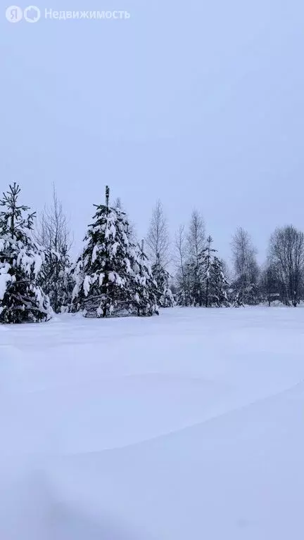 Участок в городской округ Нижний Новгород, деревня Кривая Шелокша (10 ... - Фото 2