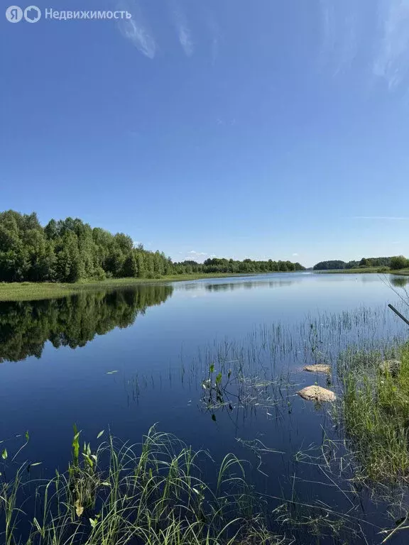 Участок в Колатсельга, Центральная улица (16 м) - Фото 0