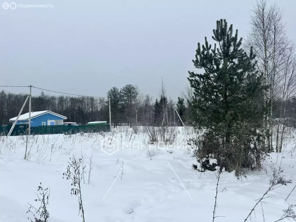 Участок в Тосненский район, Форносовское городское поселение, деревня ... - Фото 1