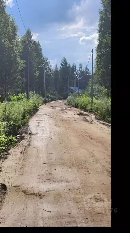 Участок в Ленинградская область, Всеволожское городское поселение, ... - Фото 2