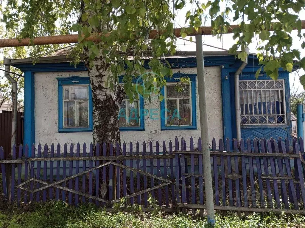 Дом в Белгородская область, Чернянский район, Ольшанское с/пос, с. ... - Фото 1