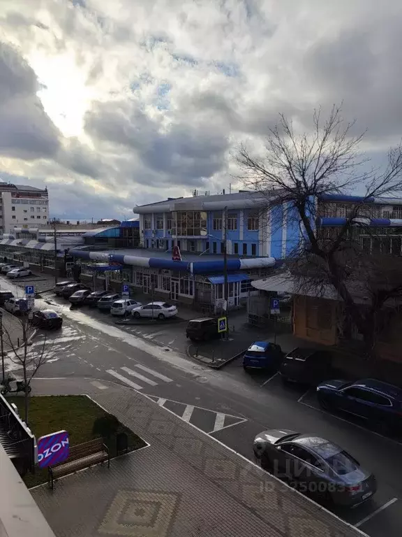 1-к кв. Краснодарский край, Краснодар Центральный мкр, ул. ... - Фото 2