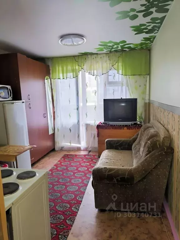 Студия Алтайский край, Барнаул ул. Чеглецова, 62 (20.0 м) - Фото 0