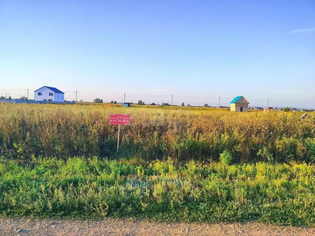 Участок в Башкортостан, Альшеевский район, с. Раевский ул. Ольховая ... - Фото 2