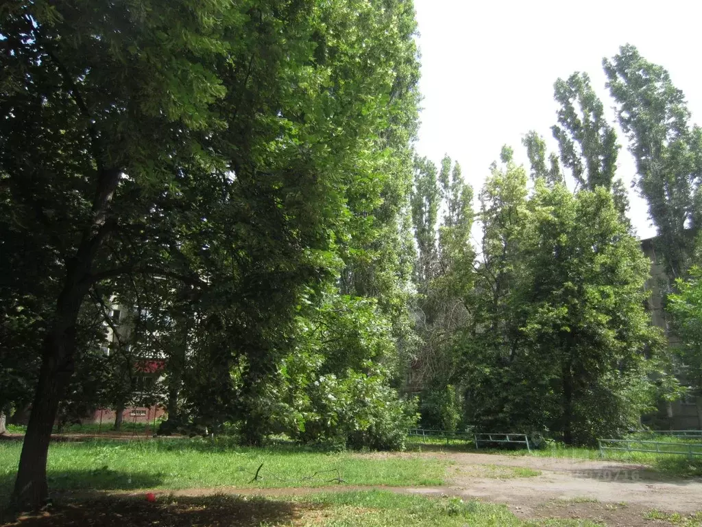 2-к кв. Липецкая область, Липецк ул. Имени Семашко, 13/2 (44.9 м) - Фото 1