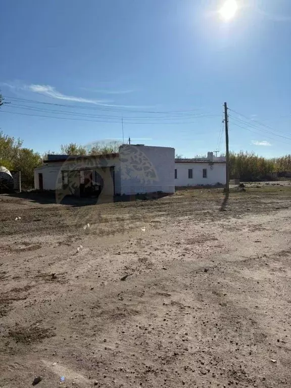 Производственное помещение в Воронежская область, с. Верхний Мамон ул. ... - Фото 1