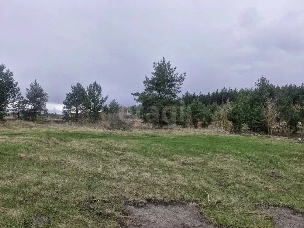 Участок в Белгородская область, Волоконовка рп ул. Василевского (16.0 ... - Фото 1