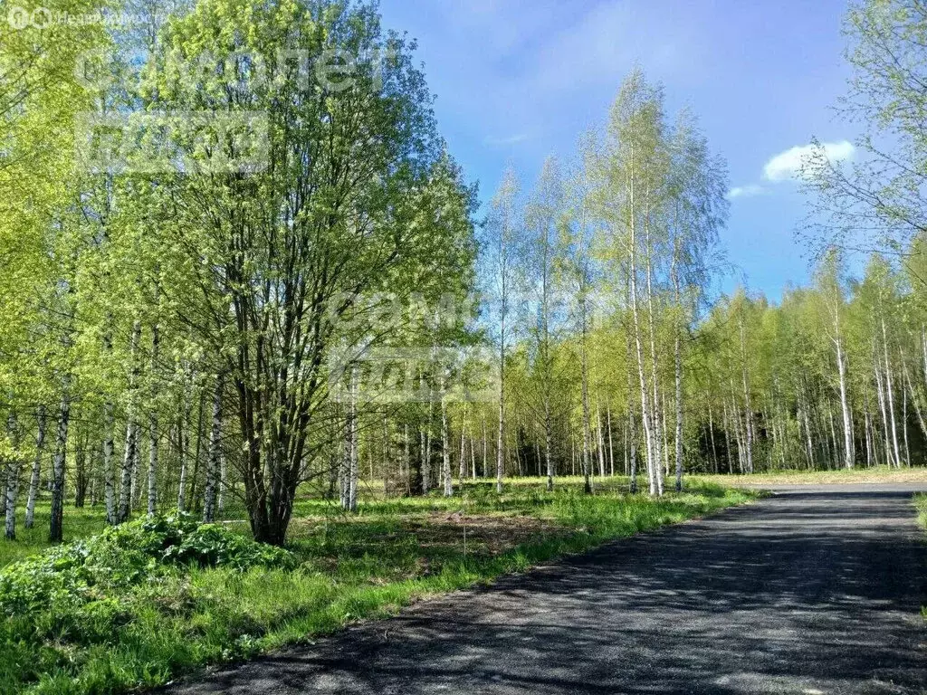 Участок в Раменский городской округ, село Зелёная Слобода (8.82 м) - Фото 0