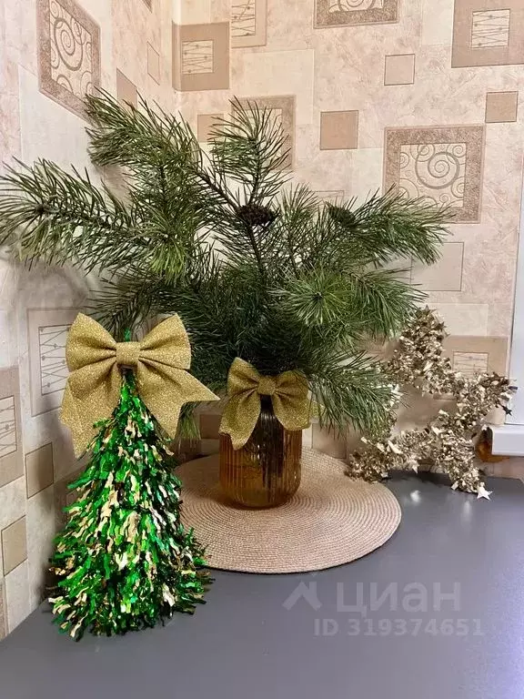 1-к кв. Московская область, Егорьевск 1-й мкр, 19 (35.0 м) - Фото 2