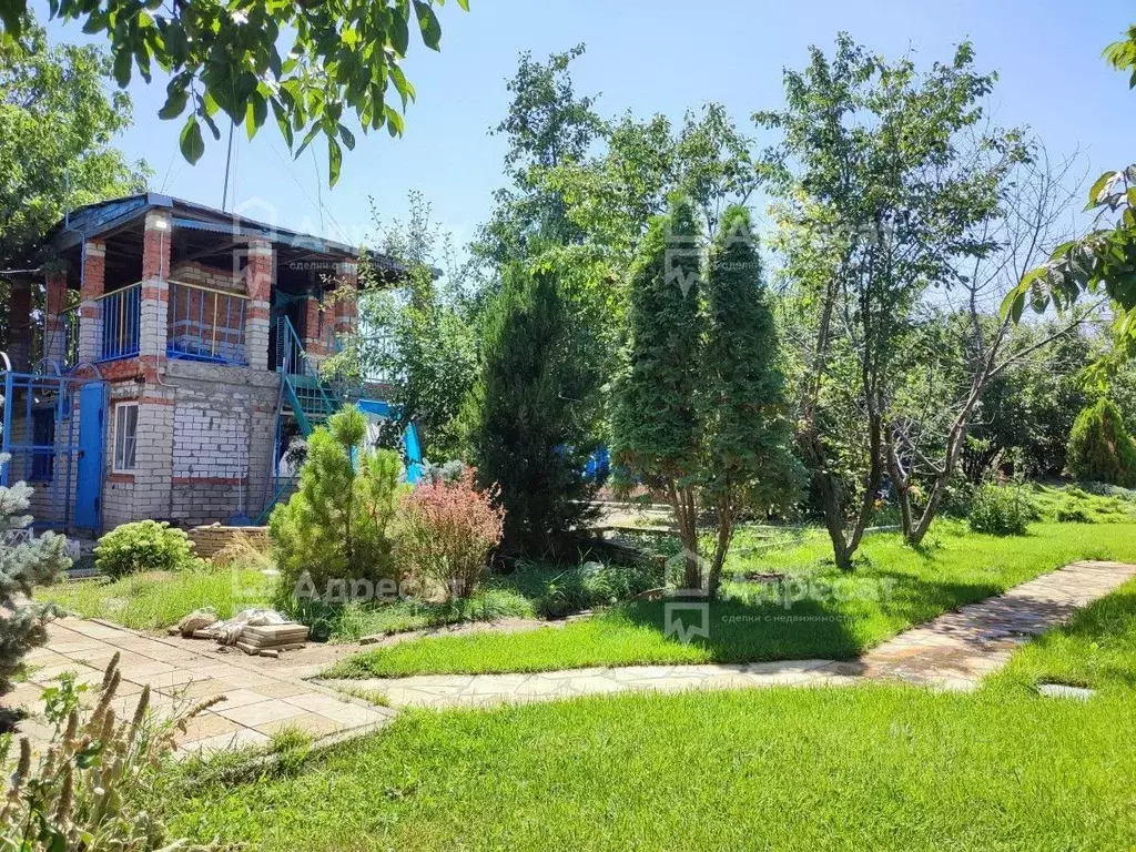 Дом в Волгоградская область, Волгоград ул. Можжевеловая (29 м) - Фото 2