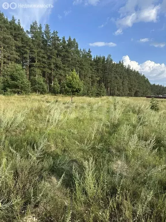 Участок в село Нижняя Верея, Ладная улица (16.88 м) - Фото 2