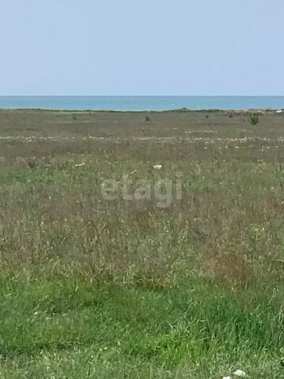 Участок в Крым, Черноморский район, с. Окуневка  (8.0 сот.) - Фото 1