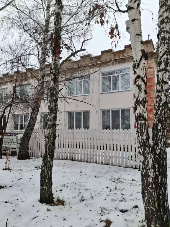 3-к кв. Омская область, Омский район, с. Лузино Советская ул. (65.0 м) - Фото 2