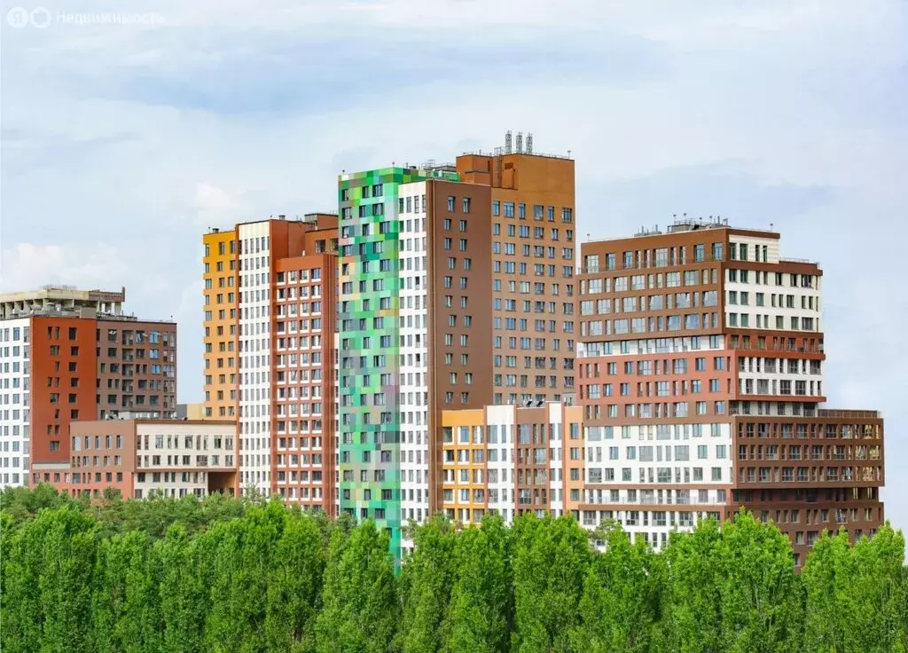 1-комнатная квартира: Воронеж, Московский проспект, 142В (52.66 м) - Фото 0