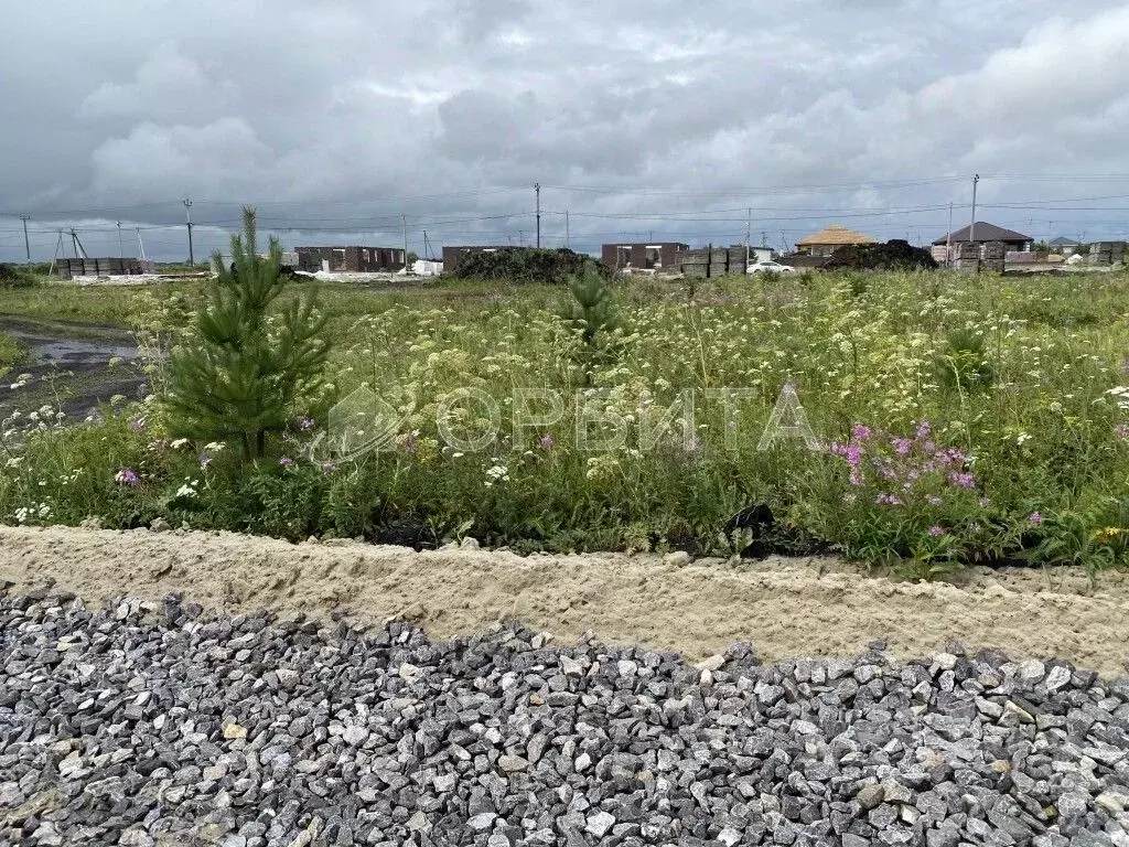 Участок в Тюменская область, Тюменский район, д. Елань  (8.18 сот.) - Фото 1