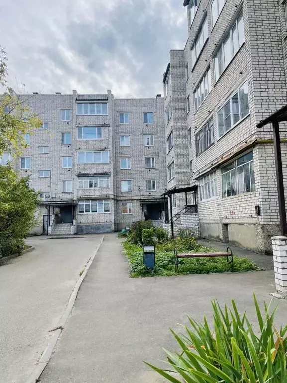 2-к кв. Владимирская область, Александров ул. Геологов, 8 (55.0 м) - Фото 1