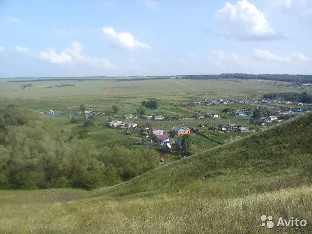 Старая Ерыкла Ульяновская область