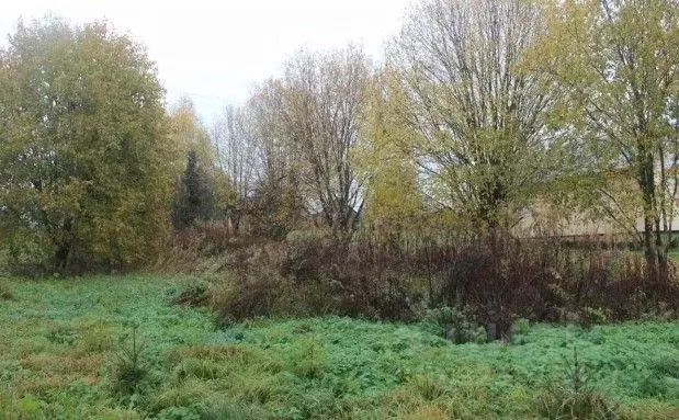 Участок в Московская область, Шаховская муниципальный округ, д. Ховань ... - Фото 1