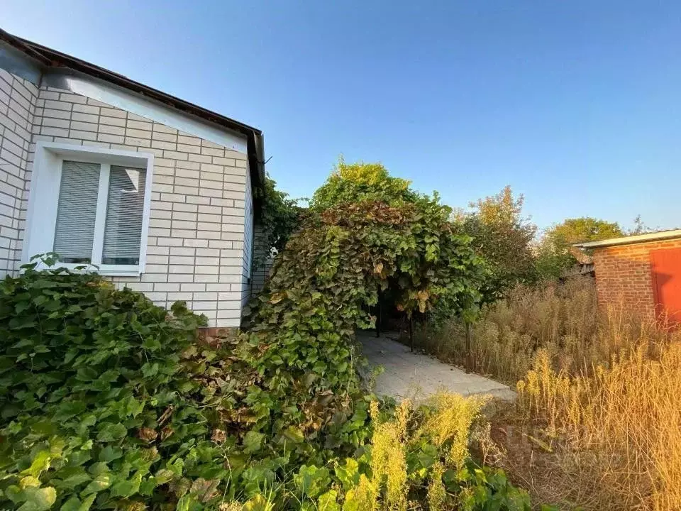 Дом в Воронежская область, Борисоглебск Бланская ул., 32 (102 м) - Фото 1