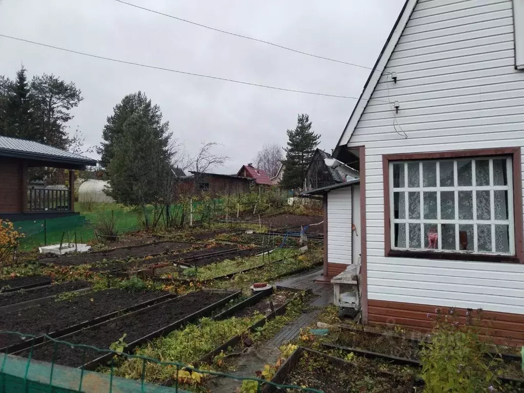 Дом в Архангельская область, Приморский муниципальный округ, Связист ... - Фото 2