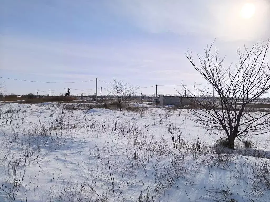 Участок в Ростовская область, Аксайский район, Большелогское с/пос, ... - Фото 2