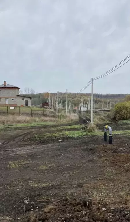 Участок в Мордовия, Саранск городской округ, Николаевка рп ул. ... - Фото 1