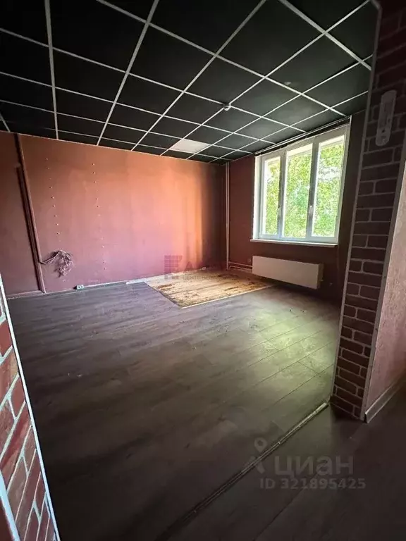Офис в Ростовская область, Ростов-на-Дону ул. Еременко, 93 (51 м) - Фото 1