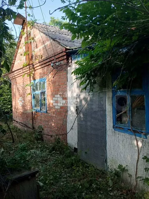 Дом 35,3 м на участке 25 сот. - Фото 1