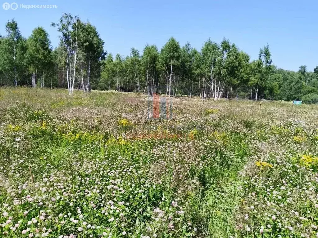 Участок в Московская область, городской округ Серпухов, деревня ... - Фото 2