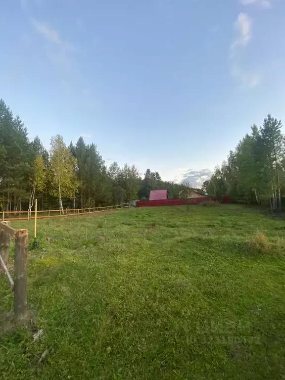 Участок в Томская область, Шегарский район, пос. Победа Сосновая ул., ... - Фото 2