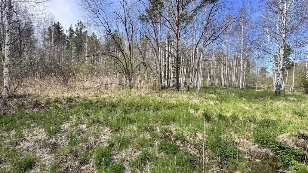 Участок в Свердловская область, Березовский муниципальный округ, пос. ... - Фото 2