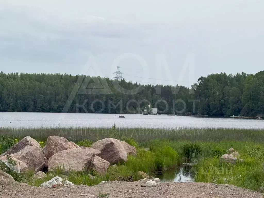 Участок в Ленинградская область, Выборг ул. Младших Командиров (10.0 ... - Фото 1