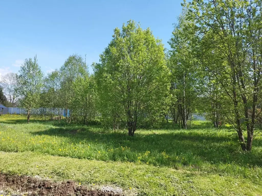 Участок в Московская область, Сергиево-Посадский городской округ, ... - Фото 2