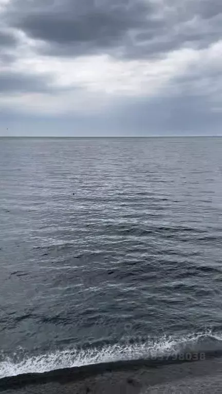 Студия Крым, Ялта городской округ, Отрадное пгт ул. Отрадная, 25А ... - Фото 1