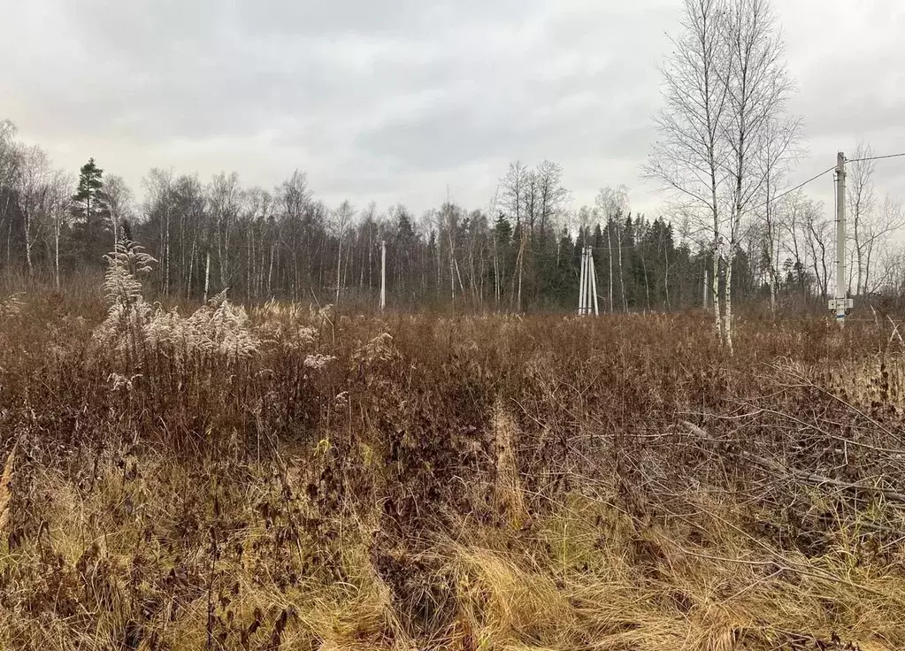 Участок в Московская область, Лосино-Петровский городской округ, д. ... - Фото 2
