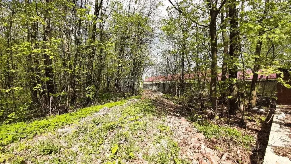 Участок в Мордовия, Саранск городской округ, Ялга рп, Южная промзона  ... - Фото 0