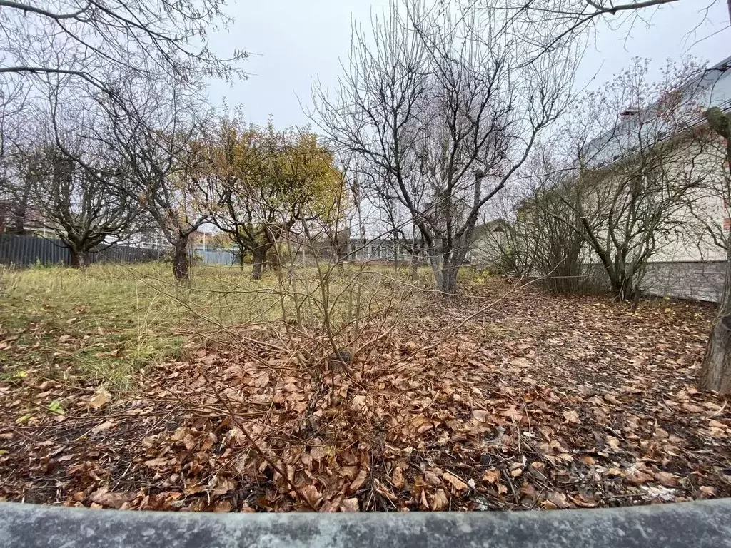 Участок в Белгородская область, Белгородский район, Дубовское с/пос, ... - Фото 2