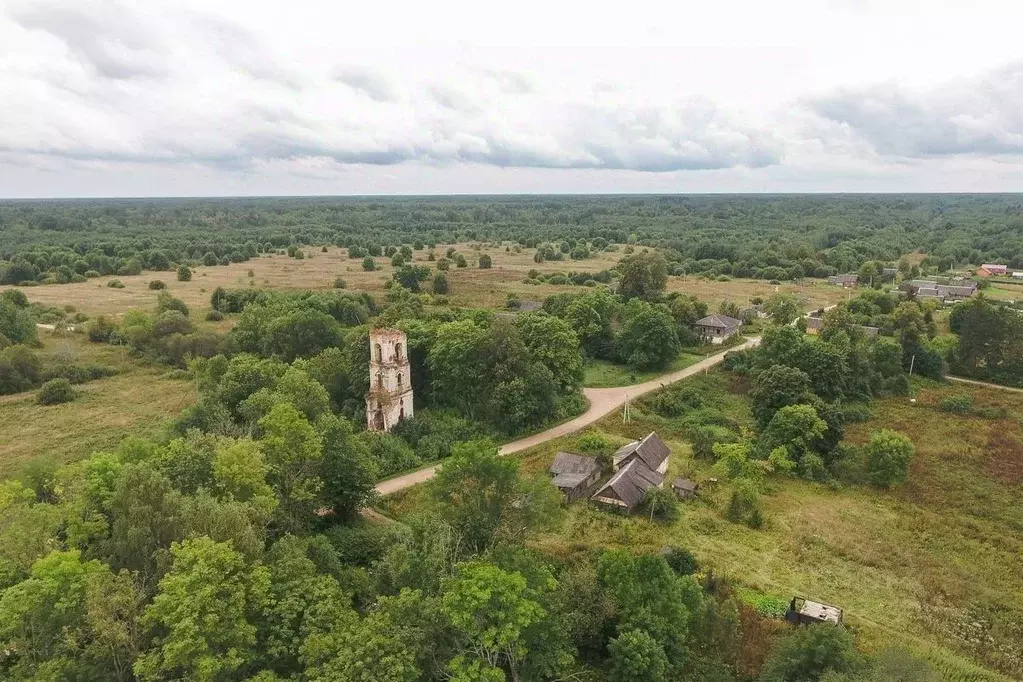 Участок в Новгородская область, Старорусский район, Наговское с/пос, ... - Фото 1