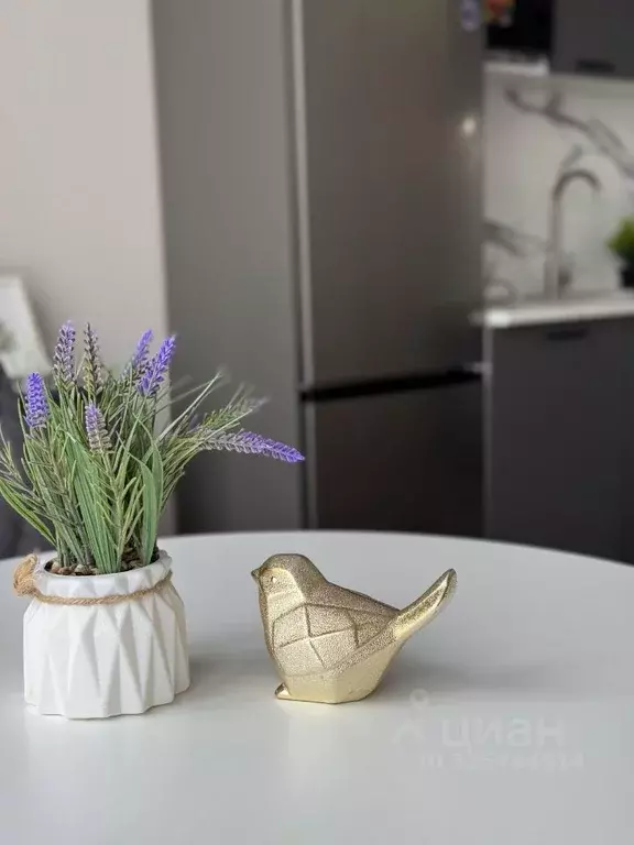 Студия Краснодарский край, Краснодар ул. Ивана Беличенко, 90к2 (28.2 ... - Фото 1